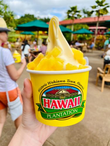 A dole-whip from Dole Plantation, Oahu, Hawaii