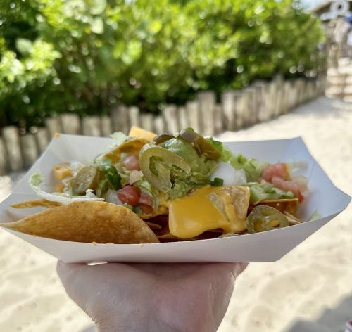Loaded Nachos covered with Guacamole, Sour Cream, Cheese Sauce, Jalapeños, Tomatoes, and Lettuce